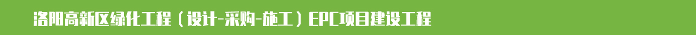 洛陽高新區項目.jpg